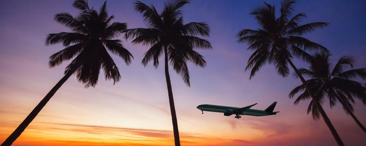 main of Can You Get Your Dream Flight At a Discount? 