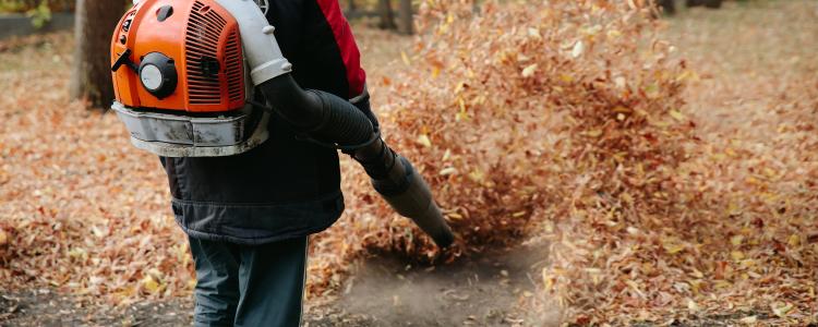 main of Yard Maintenance is a Lot Easier with a Good Leaf Blower (zubican)