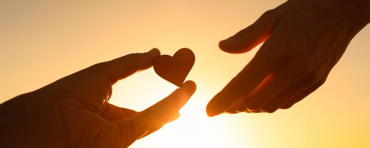 main of A Number of Charities Throughout the World Do Great Work and Benefit Many Causes